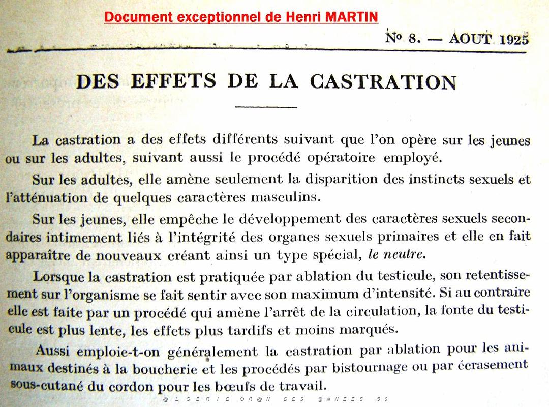 Oran documents divers 192.jpg